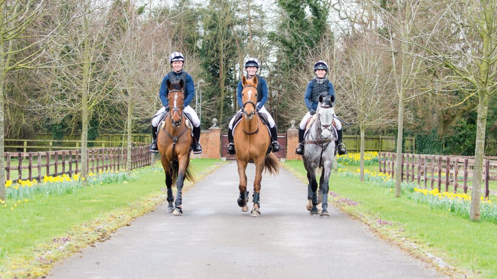horses and riders walking along drive